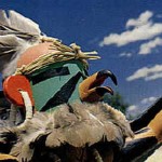 Hopiadler